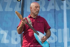 Edgard Scandurra - Blues Jazz Brasil Festival - 2022